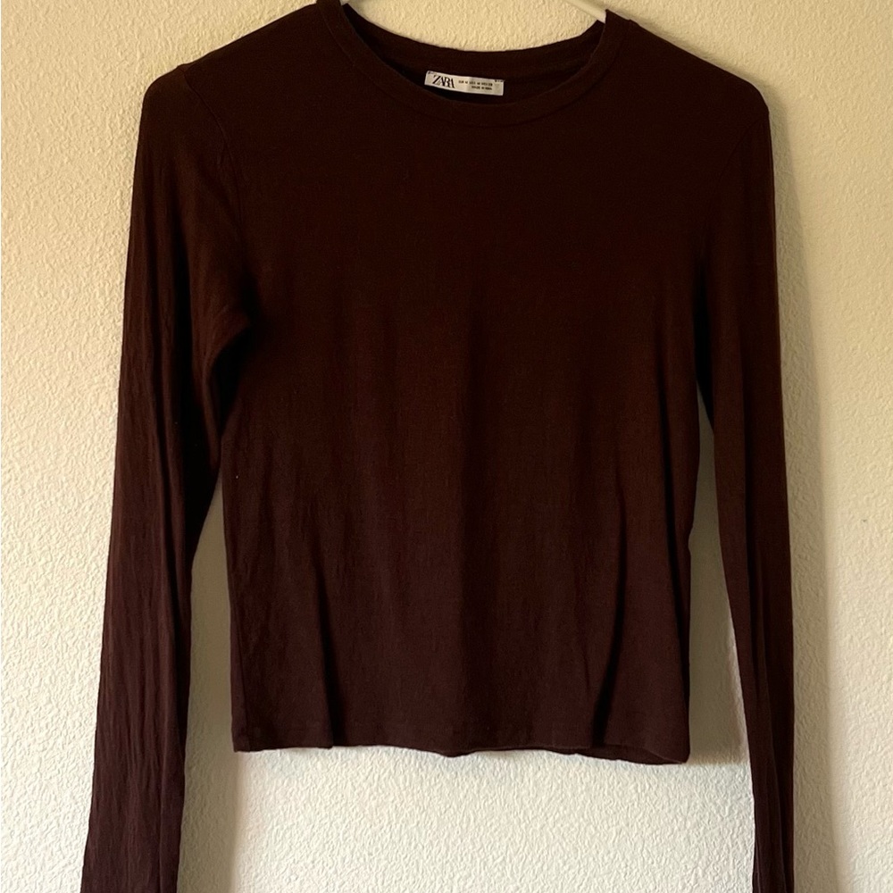 Brown long sleeve tee shirt from Zara in size medium.